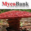 Mycobank
